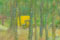 a Landscape thumbnail