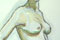 a Pen & Ink Nude