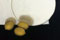 a Still Life thumbnail