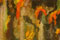 a Stochastic Painting