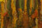 a Stochastic Painting